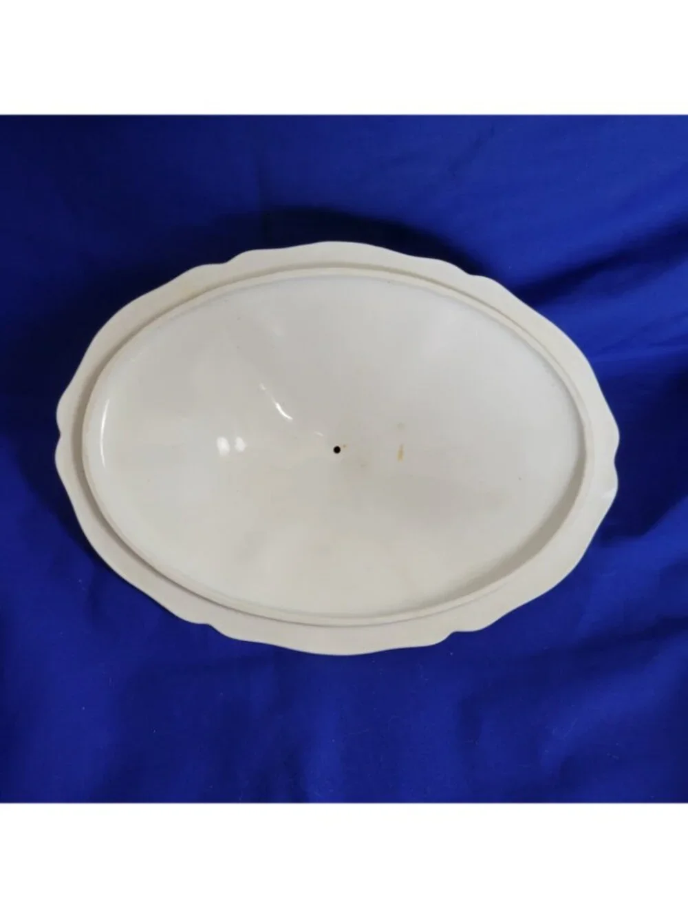 Soup Tureen Vienna Austria Roses Victorian cottage ornate elegant vtg heirloom